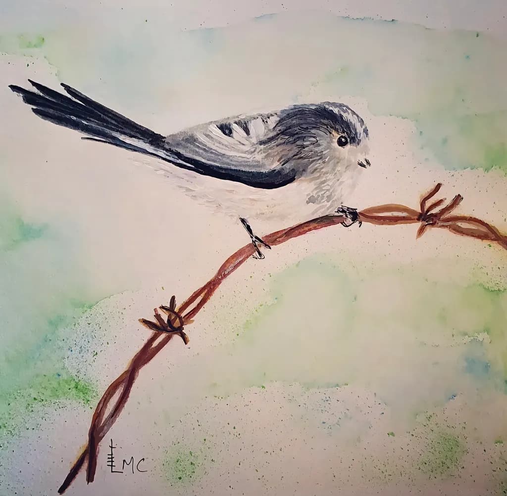 Perched on Barbed Wire