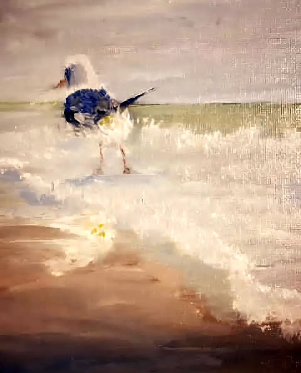 Seagull Splash