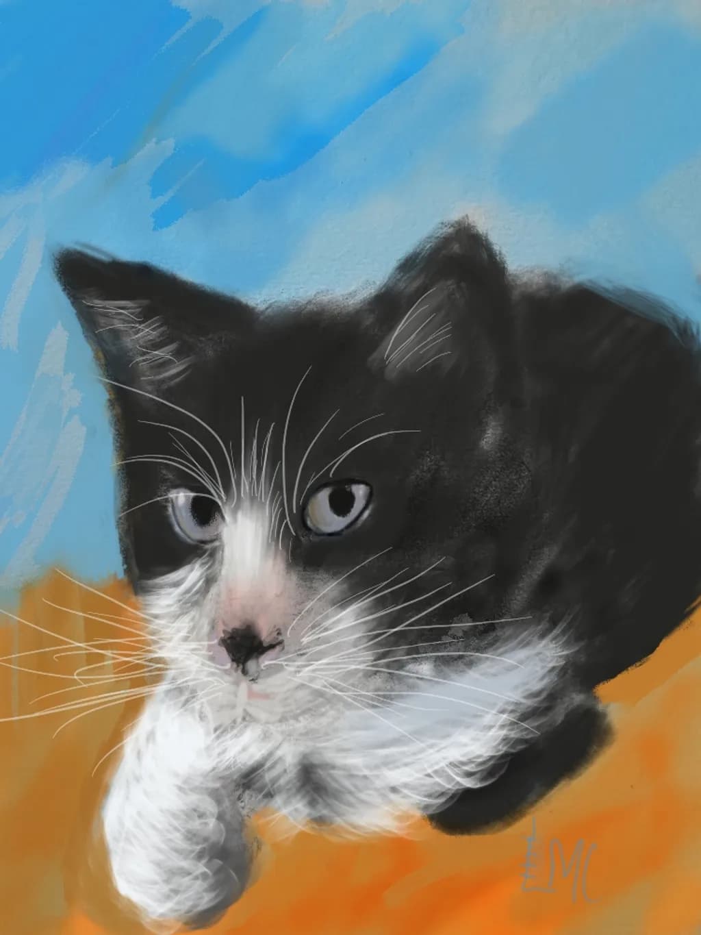 Pensive Tuxedo Cat