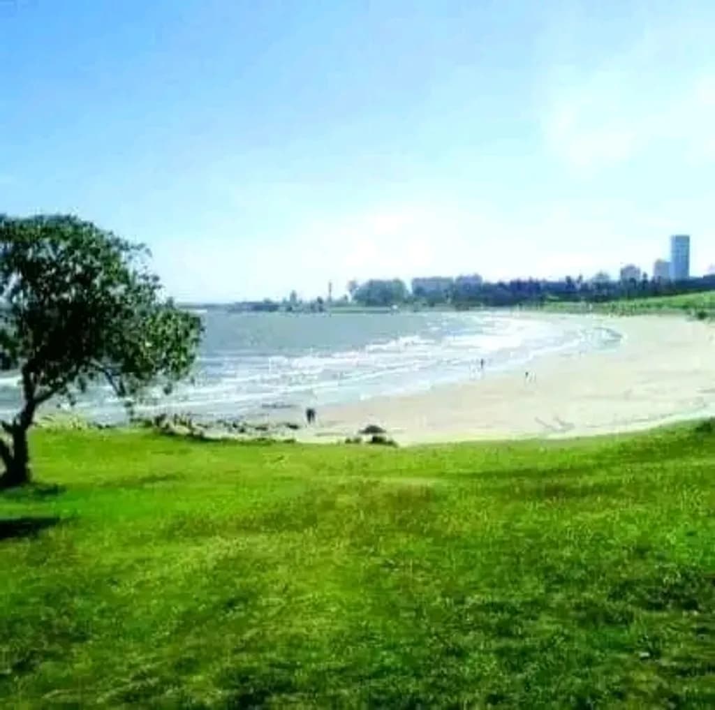Coastal Beachscape