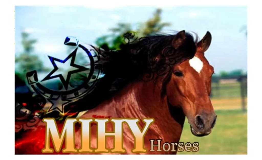 Mihy Horses