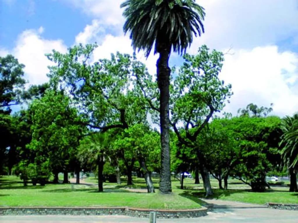Palm Haven