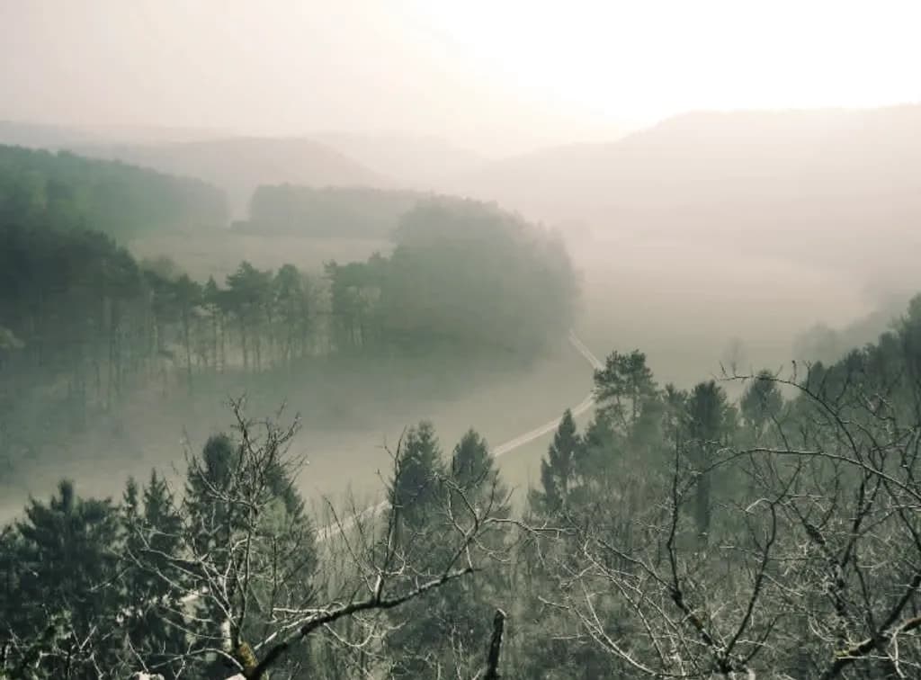 Winter Mist Pathway
