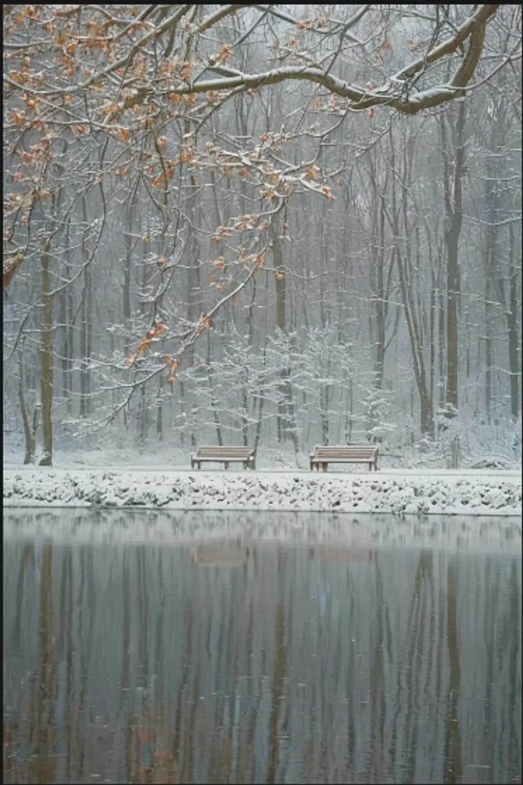 Winter Reflection