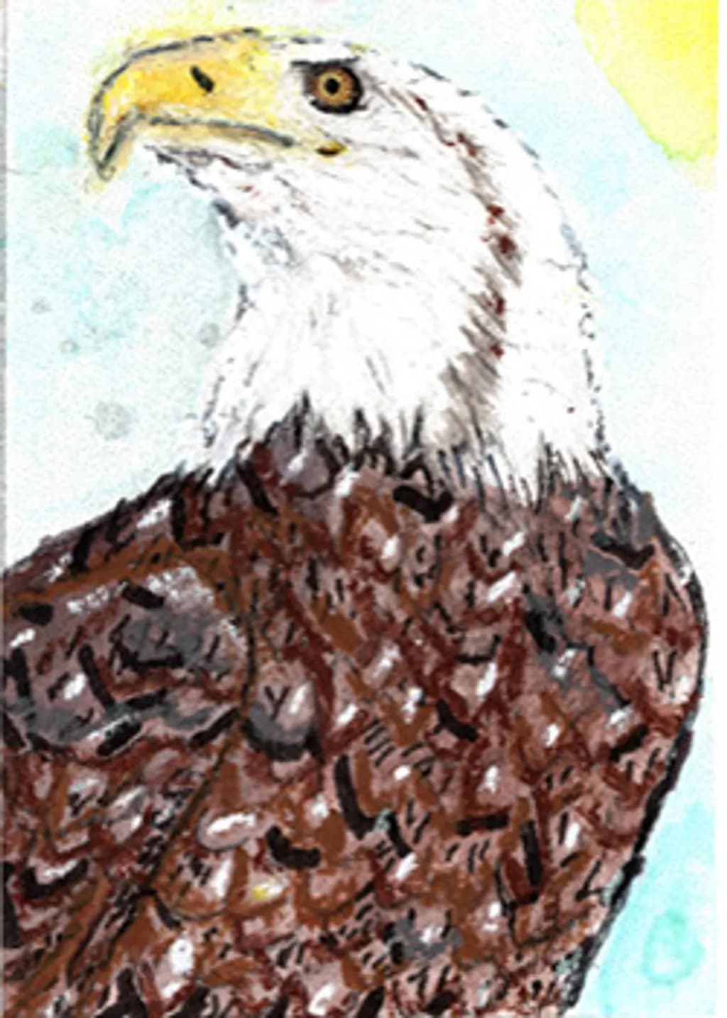Western Gaze