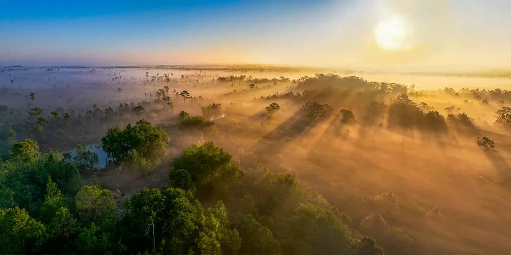 Golden Mist Panorama