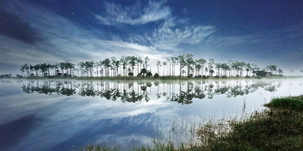 Babcock Reflection