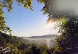 Morning Mist Valley