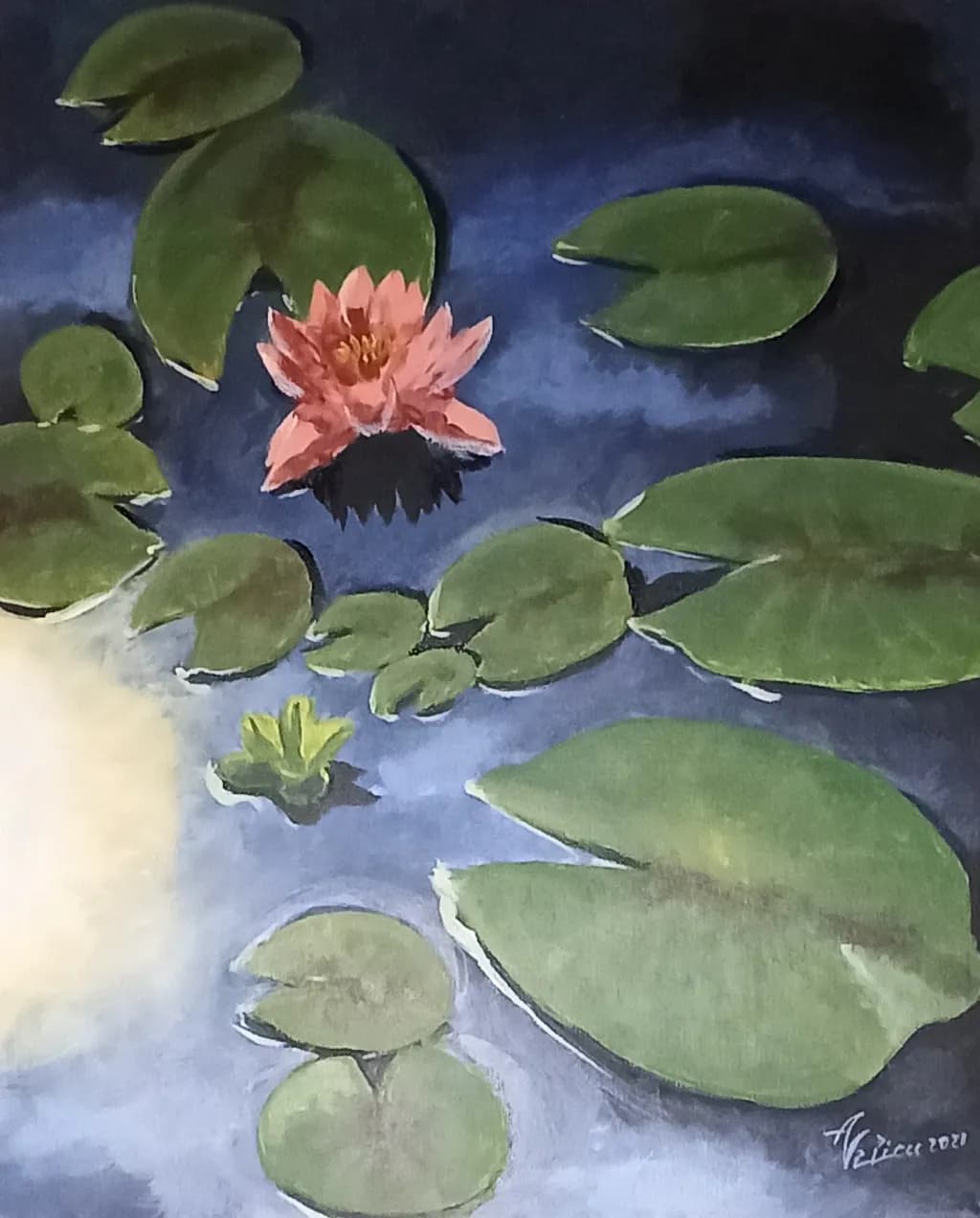 Lily Reflection