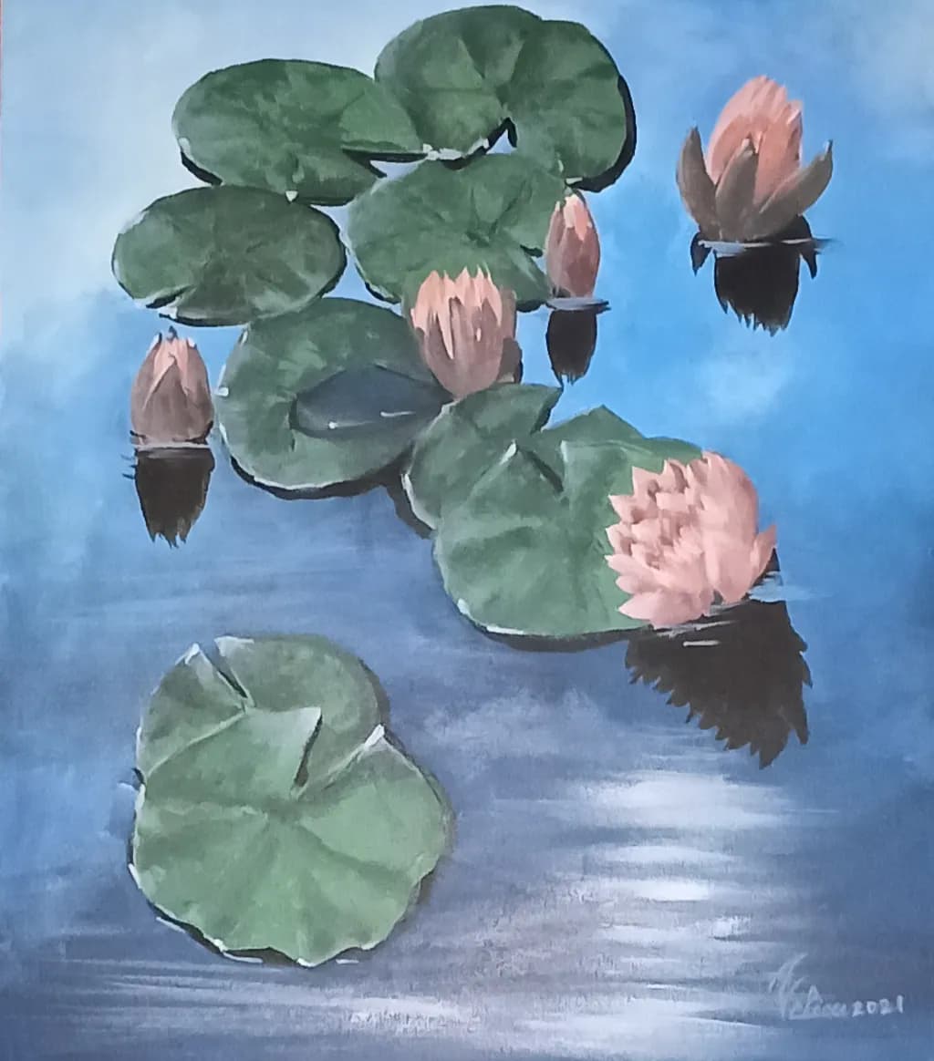 Lotus Reflections
