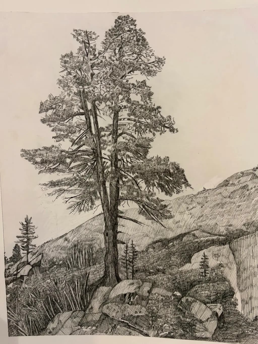 Mountain Tree Sketch
