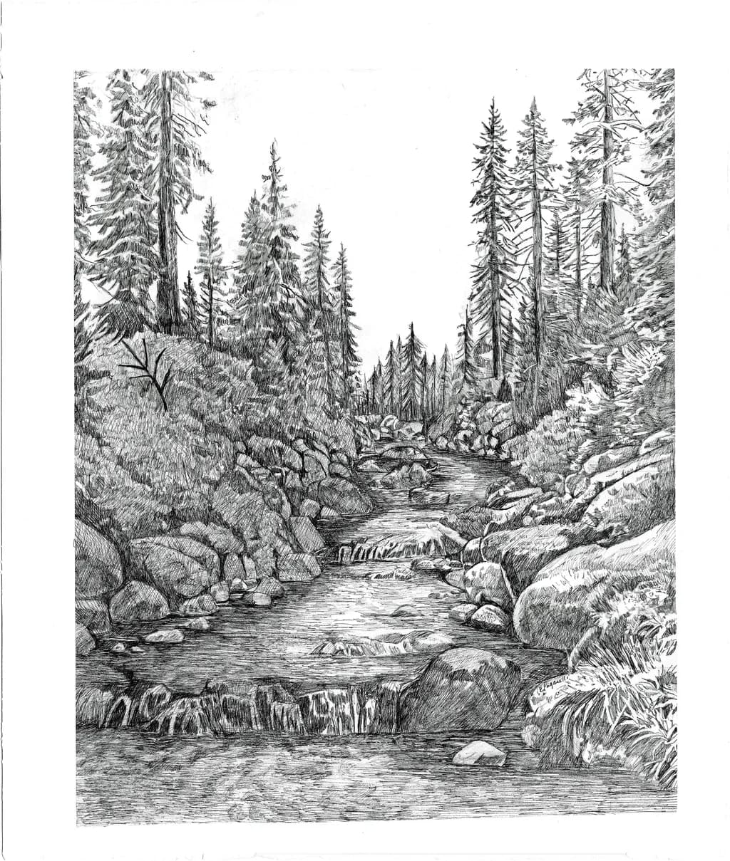 Stream Beneath Pines