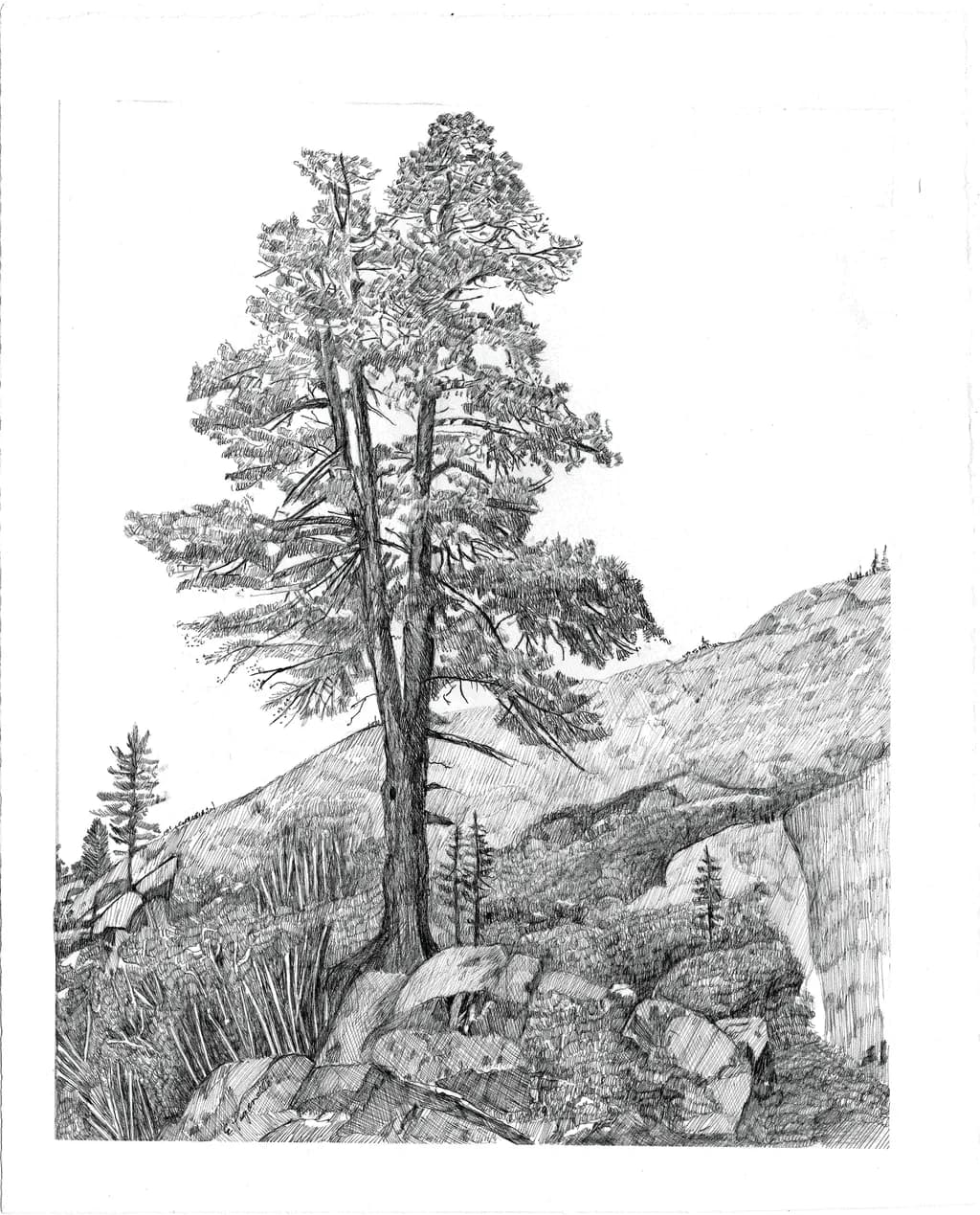 Morning at Salmon Lake