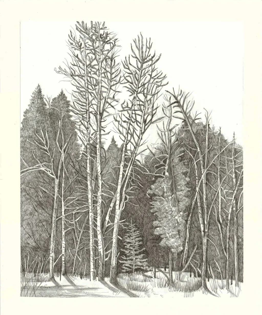 Winter Grove