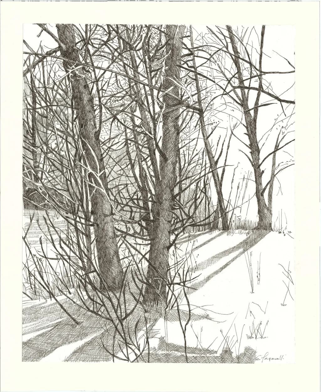 Winter Shadows