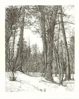 Snowbound Trail
