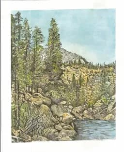Rocky Mountain Stream