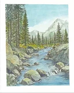 Rocky Mountain Creek