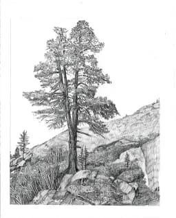 Morning at Salmon Lake