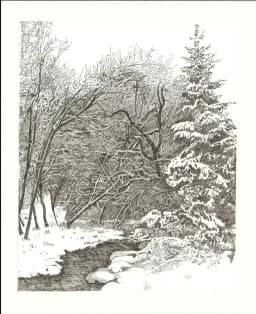 Winter Creek Sketch