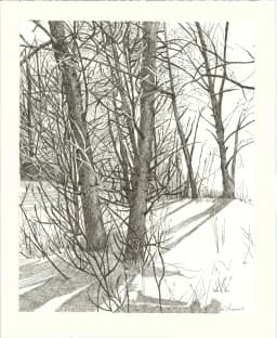 Winter Shadows