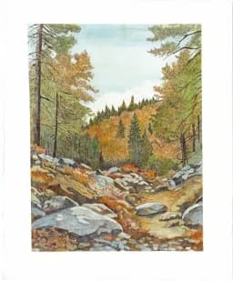 Mountain Stream Path