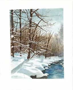 Snowbound Stream