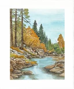 Rockside Stream