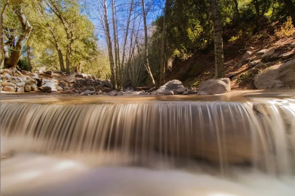 Forest Cascade