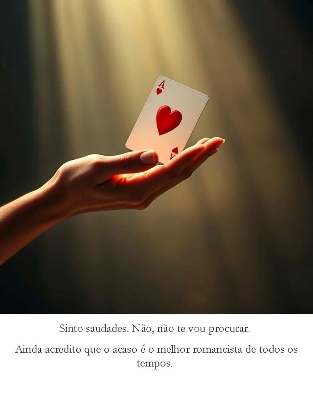 Não te vou procurar