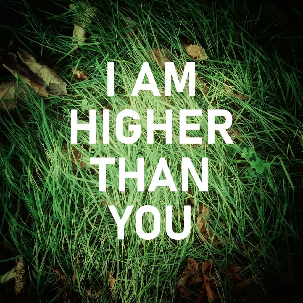 Higher Than You