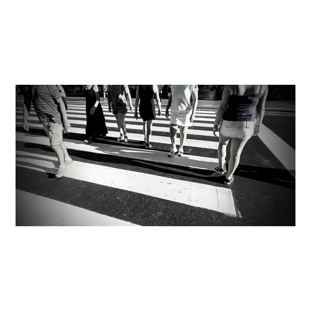 Crosswalk Shadows