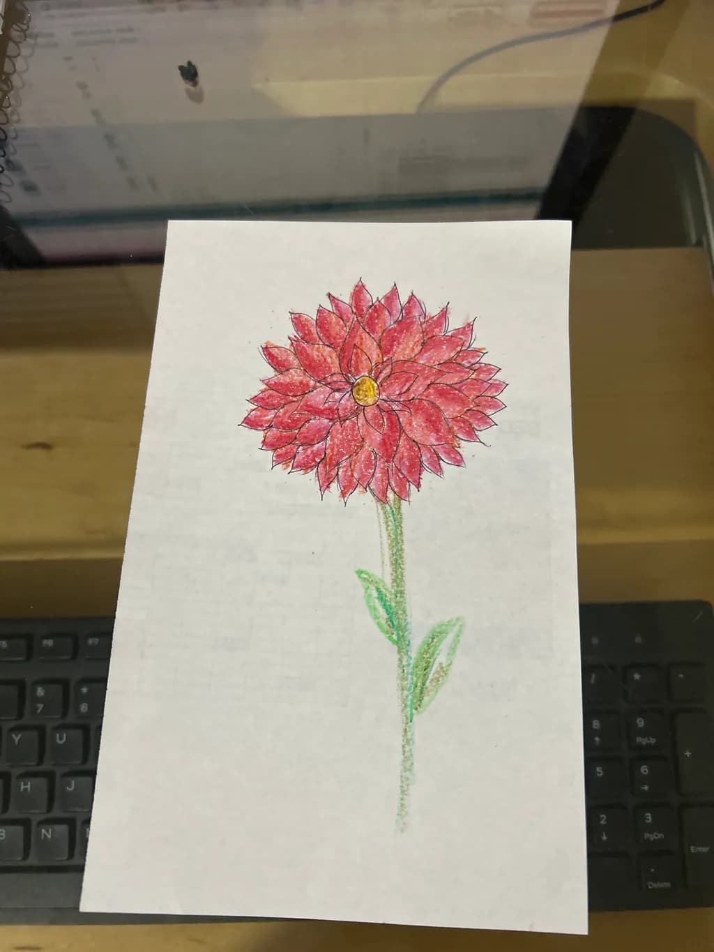 Crimson Dahlia