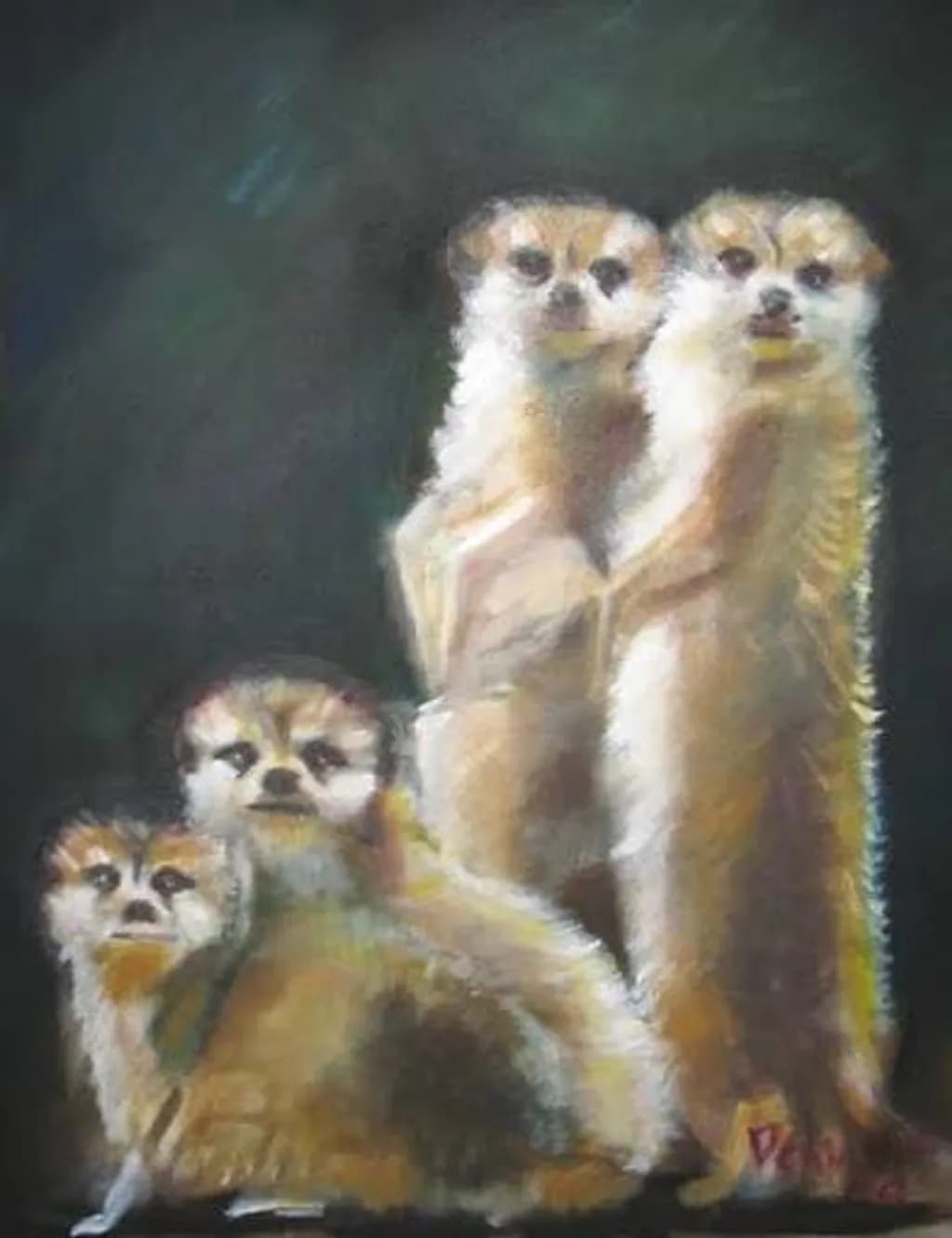 Meerkat Group