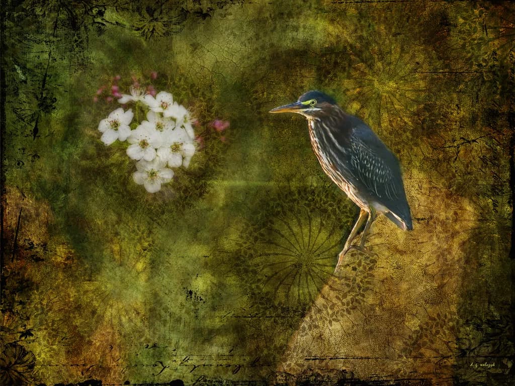 Green Heron Botanical
