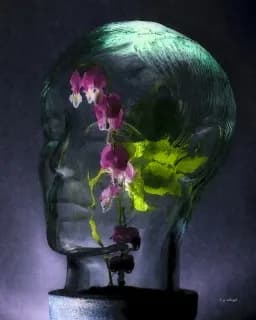 Compassion/Empathy II