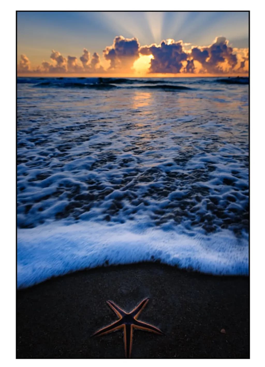 Starfish Sunrise
