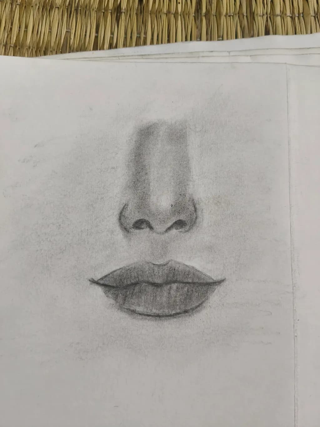 Nose and Lips Study