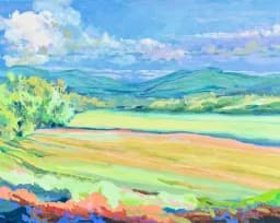 Sunlit Meadow Mountains