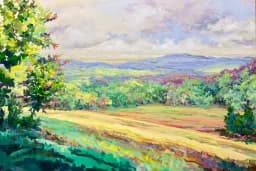 Summer Mountain Meadow