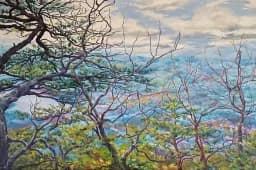Through the Branches