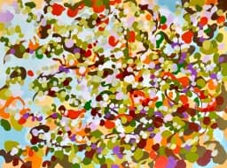 Fragmented Canopy