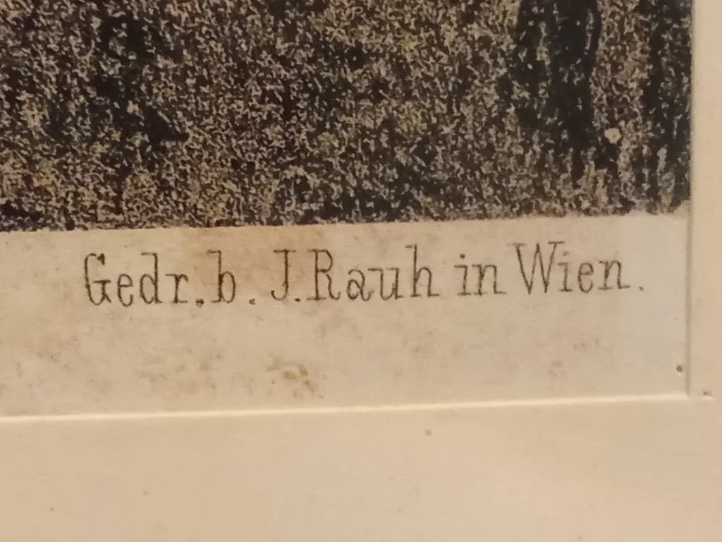 Gedr.b. J. Rauh in Wien