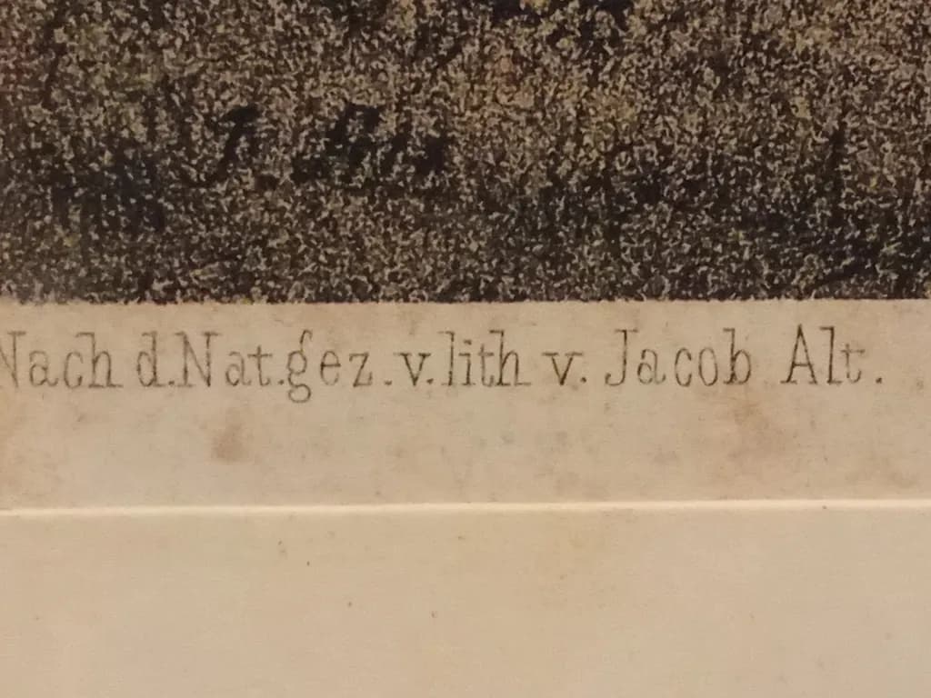 Jacob Alt Lithograph