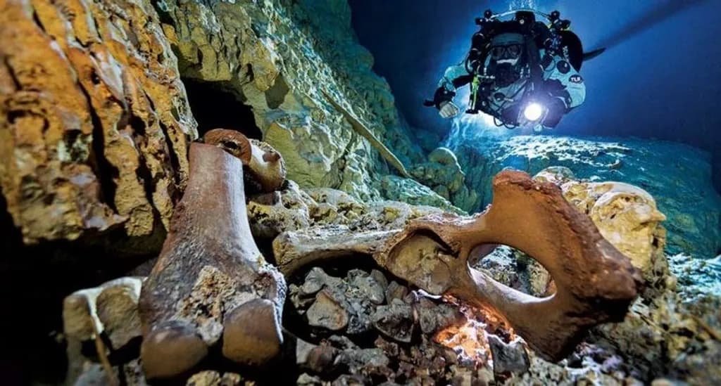 Naia’s Cenote Discovery