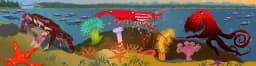 City to Sound Marine Life