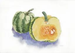 Sweet Squash