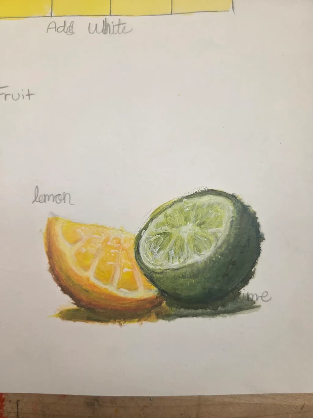 Lemon and Lime Study
