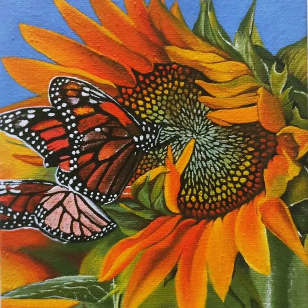 Monarch Sunburst
