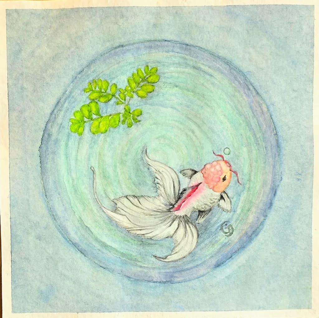 Circle of Koi
